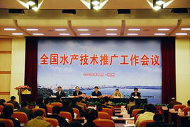 貴州農(nóng)業(yè)科技信息網(wǎng) 科技賦能農(nóng)業(yè)，技術推廣助力鄉(xiāng)村振興