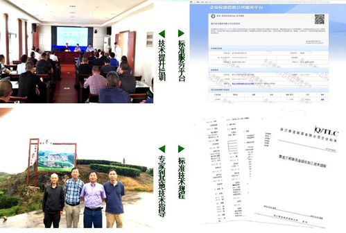 三杯香茶連續化加工技術示范與推廣項目獲好評，為茶產業現代化注入新動力